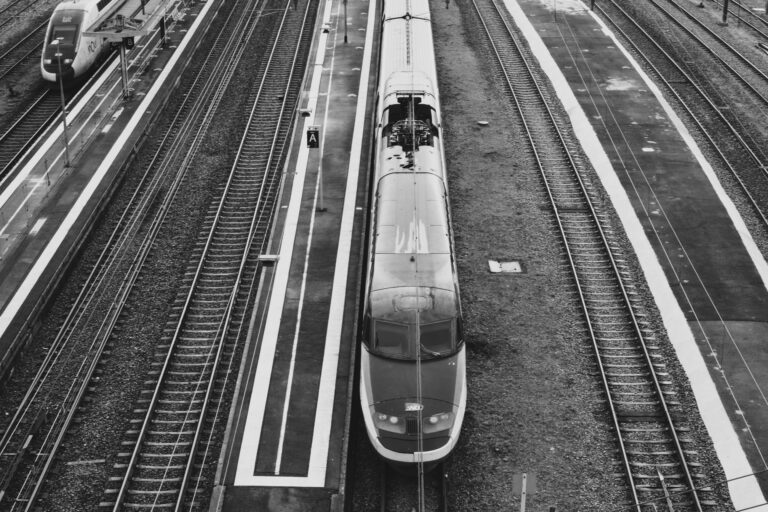 Une femme percutée par un train à Nice-Riquier : trafic coupé plusieurs heures entre Nice et Vintimille