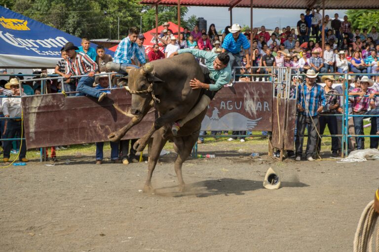 (Vidéo)🐂 La corne là où il ne fallait pas — Morante de la Puebla hospitalisé d&rsquo;urgence après une encornade intime