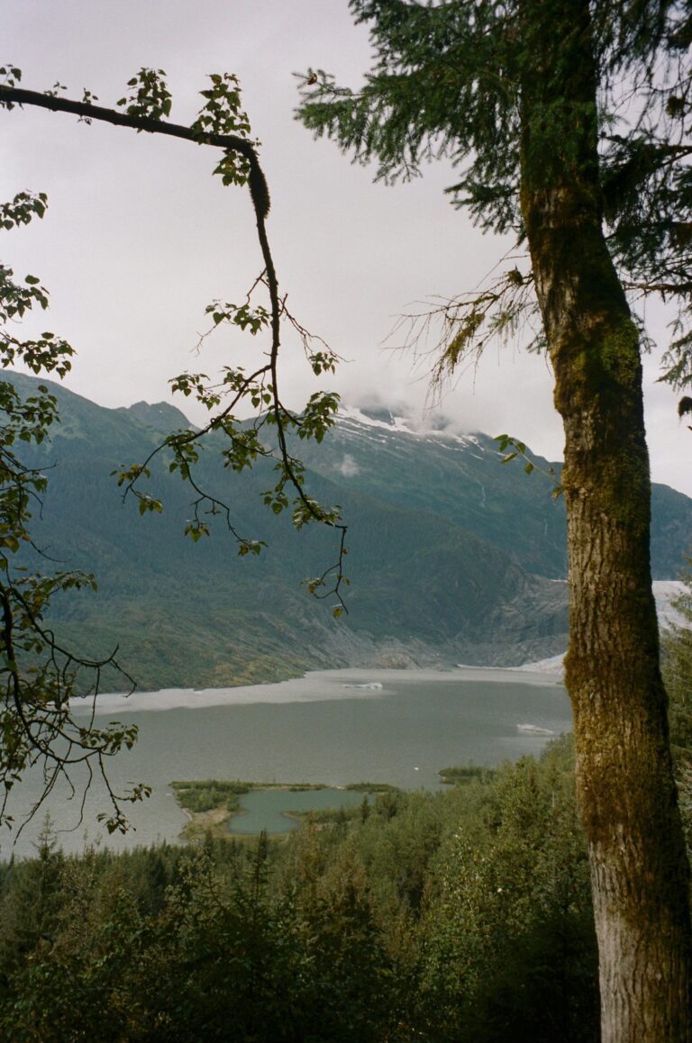 Il tombe dans un lac gelé en Alaska et commence à couler : sauvé in extremis grâce à une planche de paddle