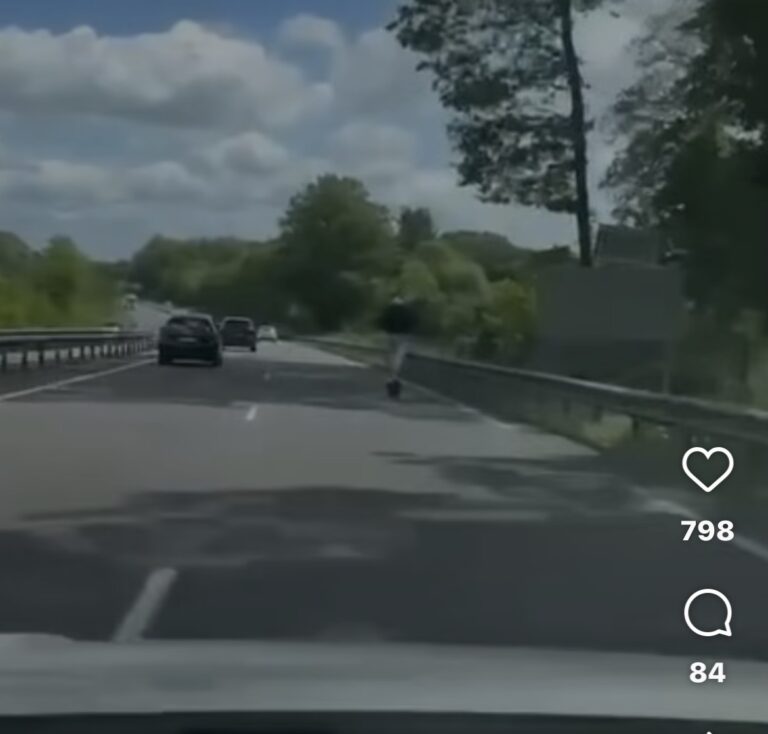 (Vidéo) Limoges :  filmé en train de circuler sur la D941 en trottinette électrique, un utilisateur illustre une pratique interdite devenue inquiétante sur les routes du département
