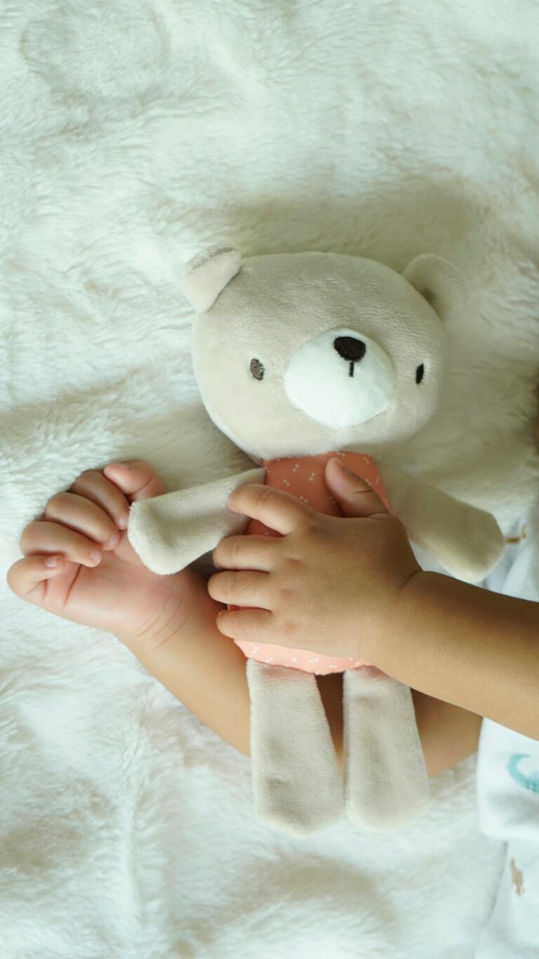 Leur sacoche volée dans un restaurant contenait la peluche de leur fils décédé, une famille italienne lance un appel émouvant et promet 200 euros de récompense