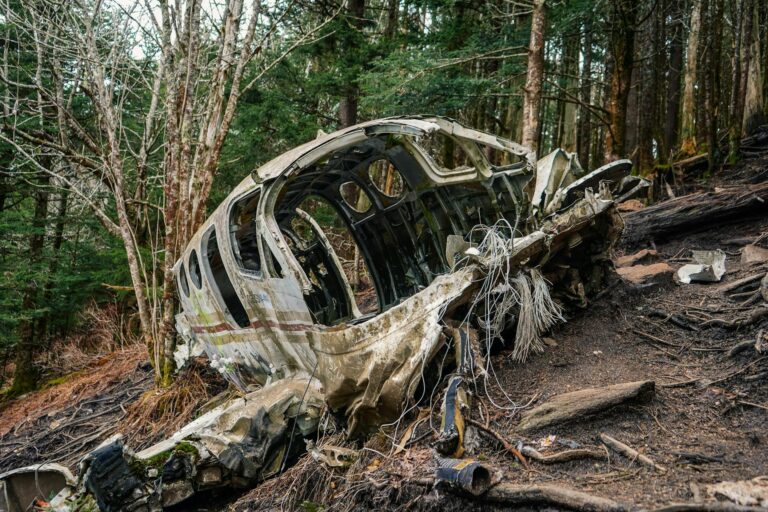 Forêt de Fontainebleau : la carcasse du Fouga Magister retrouvée avec deux corps, les causes du crash restent inconnues