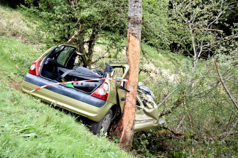 Puy-de-Dôme : leur voiture pulvérisée contre un arbre, un jeune entre la vie et la mort