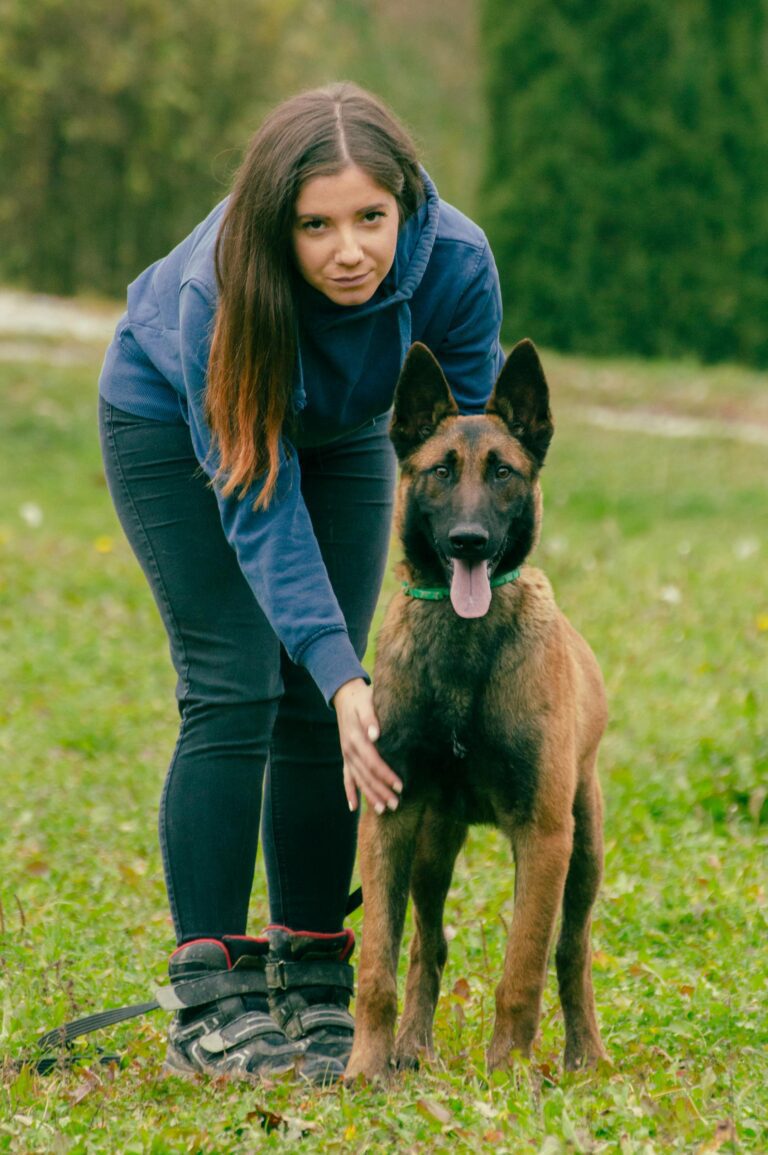 Chienne traînée par une voiture : la justice prononce la relaxe à Reims