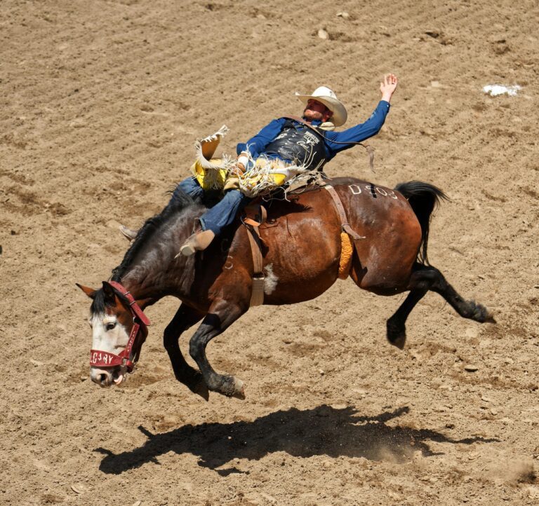 (Vidéo)Piétiné sous les yeux du public : un cow-boy de 25 ans meurt après une chute lors d’un rodéo