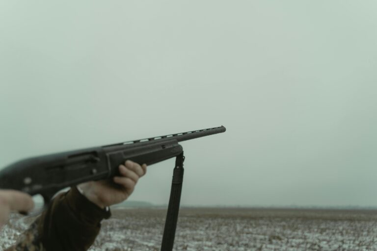 Il tire sur sa petite voisine de 7 ans avec une carabine : le quinquagénaire déféré pour violences aggravées à Belbèze-en-Lomagne